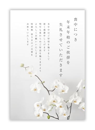 r͂ 10yڍ׋Lsvz͂ CNWFbgΉyt`ȂSʃvdグzpsCMOP-201