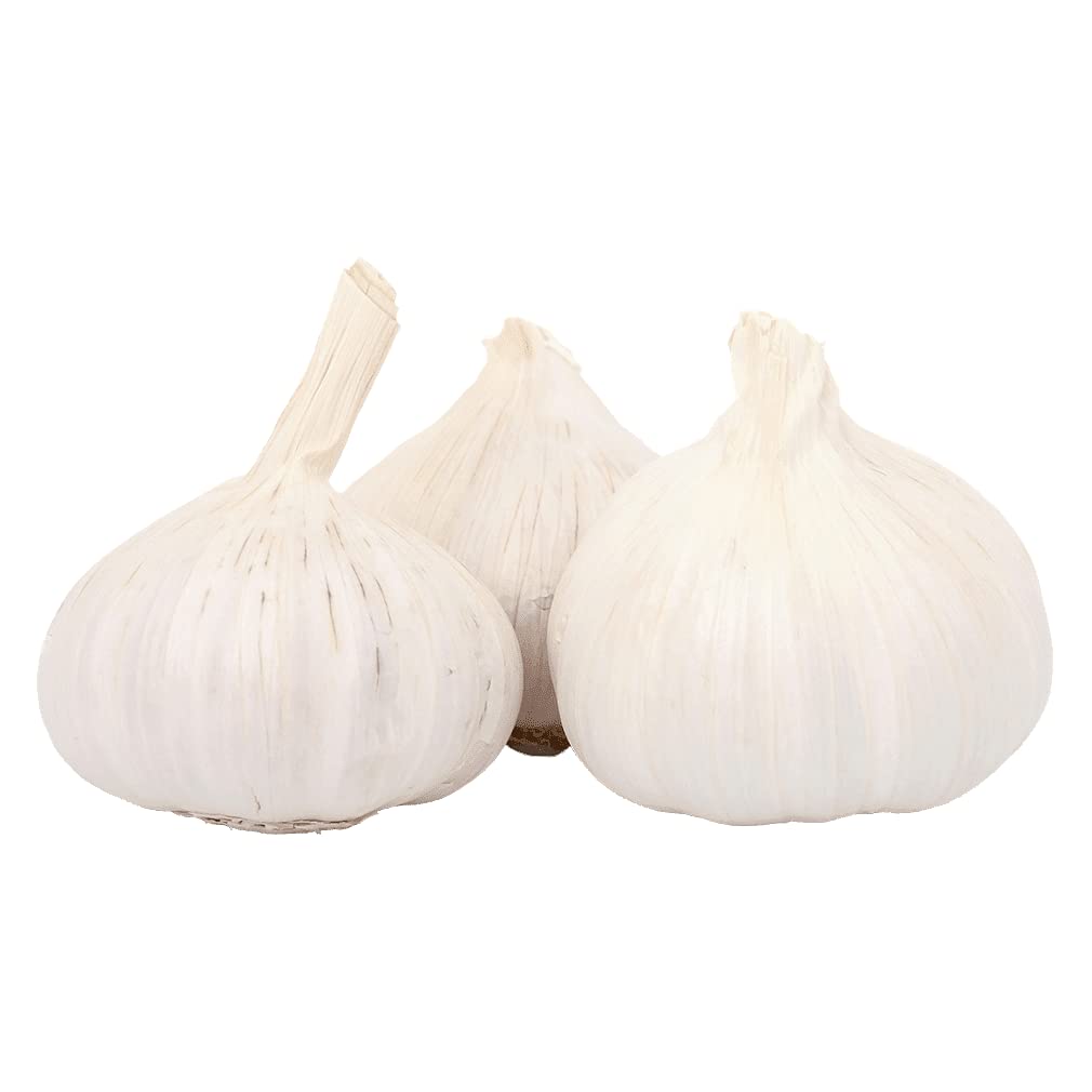 Greenist Bio Knoblauch trocken Demeter 0,5kg 1er Pack