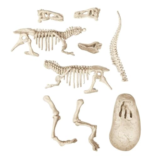 Science & Jeu : Archéo Ludic : T Rex Clementoni Jeux - vue 8