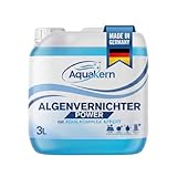 Aquakern Algenvernichter Power 3L [mit Aqua KLAR KOMPLEX] entfernt Grünbelag | Algizid...