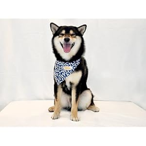Kawaii Shiba Co Karakusa Japanese Shiba Inu Dog Bandana with Adjustable Collar Blue