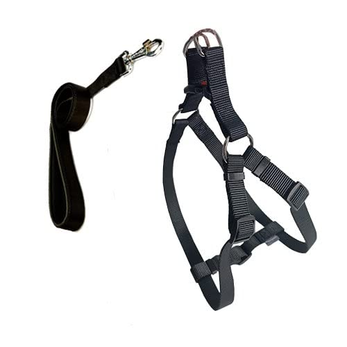 Cool Walk Harness Siyah Köpek Göğüs Tasması S