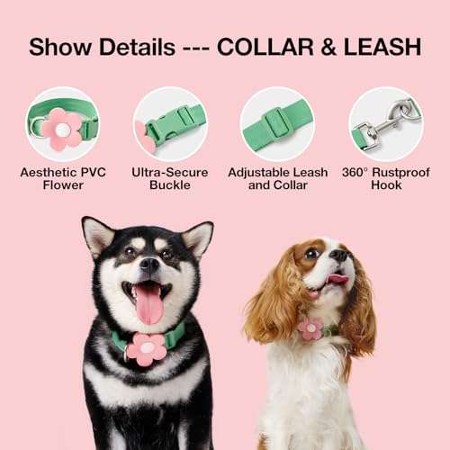 VETRESKA Flora Dog Harness, Leash and Collar Set, No Pull Dog Vest Harness for Walking and Training, Adjustable, Easy Control and Soft Padded Pet Harness and Backpack for Small Medium Large Dogs, M