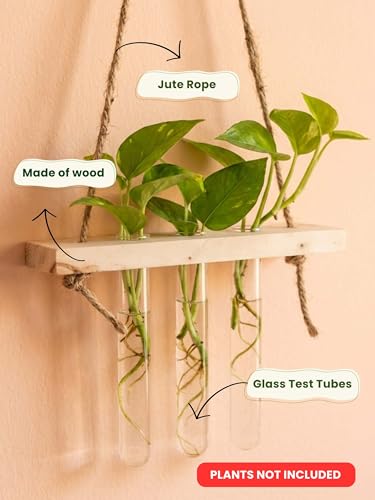 Image of Hanging Planter Set of 2 with Wooden Holder & Rope | 6 Test Tube Hanging Plant Indoor Stand | Wooden Planter for Home Decor, Living Room, Balcony & Office Decoration
