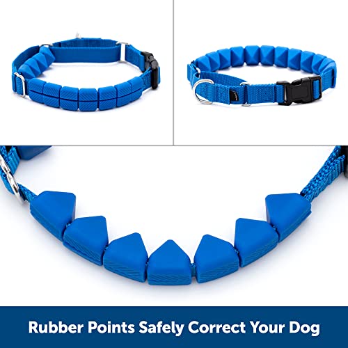 PetSafe Soft Point No-Pull Dog Training Collar, Royal Blue, 3/4 in, Medium - image 3