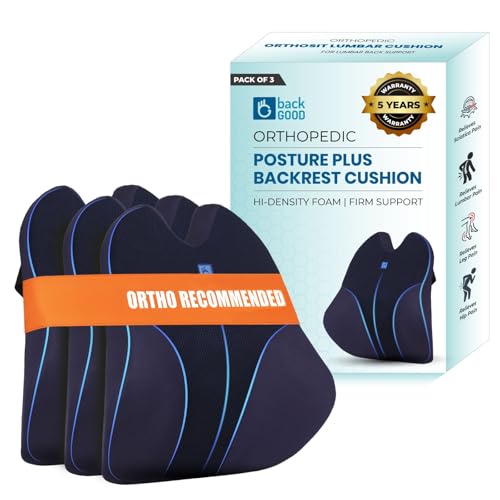 Image of Back Support for Office Chair | 5-Yr-Warranty| Memory Foam Lumbar Support Pillow | Orthopedic Backrest for Lower Back Pain Relief | Ergonomic Desk Chair & Car Cushion (Large)(Set of 3)
