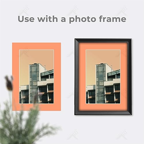 Golden State Art, Pack of 50 Mix Pre-Cut 5x7 Picture Mat for 4x6 Photo with White Core Bevel Cut Mattes Sets. Includes 50 High Premier Acid Free Bevel Cut Matts & 50 Backing Board & 50 Clear Bags