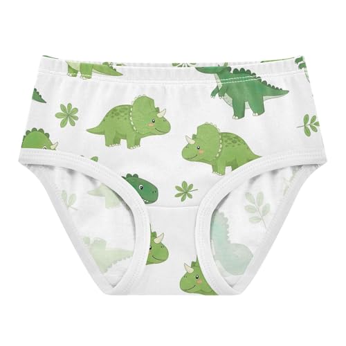 Bright Toddler Underwear Floral 2t Cotton Little Girl Panties Cartoon Dinosaurs Leaves White Briefs Underpants