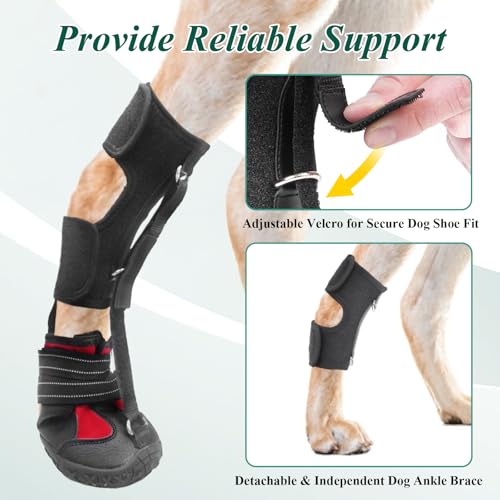Fußbandage zum Anschnallen, keine Knöchelschuhbandage für Hunde – Korrektive Hundeschuhe zum sicheren Anheben der Zehen bei Fußproblemen, Arthritis und Verbesserung des Gehgangs bei Hunden (L)
