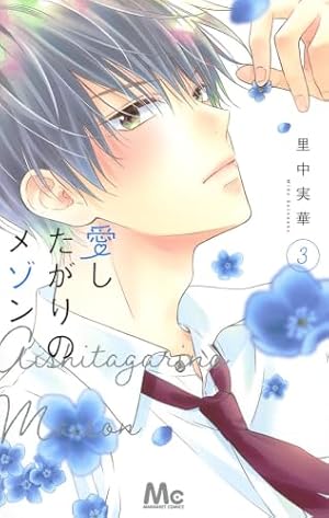 Amazon.co.jp: 愛したがりのメゾン 4 (マーガレットコミックス) : 里中