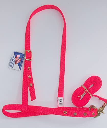 Ron Mar Custom Tack Nylon Tie Down Nose Band w/Strap Horse Orange