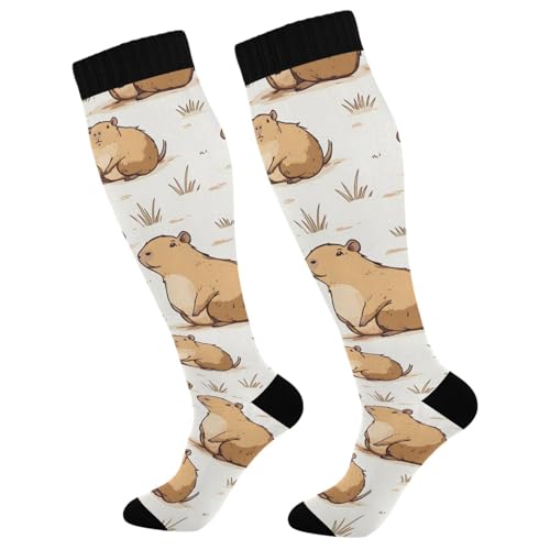 MFTJYO Capybara Little Animal Forest White Compression Socks for Women Men Circulation Long Knee High Socks for Athletic Sports Running