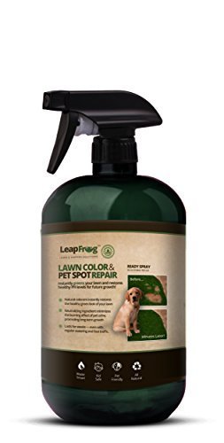 LeapFrog Lawns - 32oz Instant Lawn Colorant & Pet Spot Repair