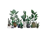 Photo Gallery tyutyu wall sticker plant 3d ersonalità carta creativa decorazioni pasta finestra pasta adesivi per la casa sfondo decorativo per la casa (color : 1pc) Photo Gallery tyutyu wall sticker plant 3d ersonalità carta creativa decorazioni pasta finestra pasta adesivi per la casa sfondo decorativo per la casa (color : 1pc)