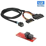 Especificaciones: conector: 1 x 36 pines SFF-8643 hembra; 1 x NGFF PCI Express x4, V3.0