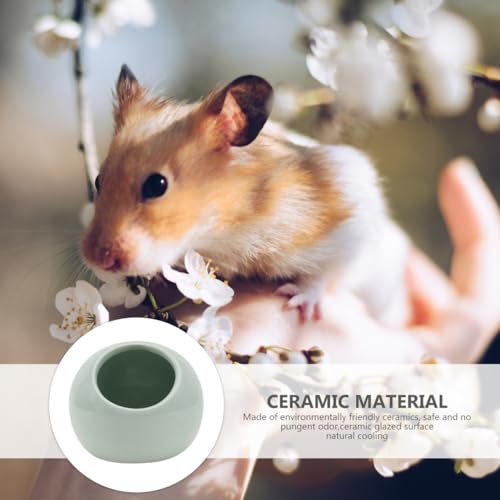 Niche en céramique pour hamster et petits rongeurs POPETPOP vert