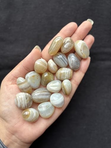 Image of Tumbled Stones, Natural Crystal Healing Stones, Home Office Decor, Aquarium Decorative Pebbles, Vase Fillers (Botswana Agate, 200)