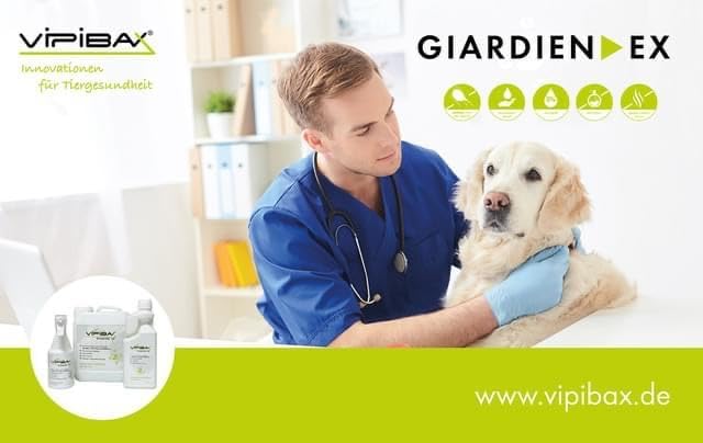 ViPiBaX Giardien Ex Wischkonzentrat 2,5L für Hund, Katze & Co- Geruchsentferner - Effektive Desinfektion gegen Giardien, Viren, Pilze & Bakterien.