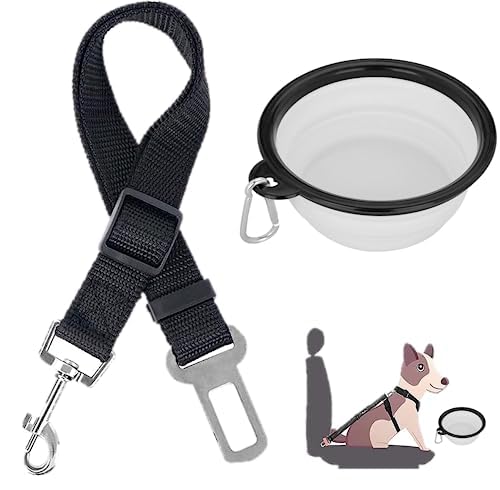 Cintura Di Sicurezza Per Cani In Auto - Guinzaglio Omologato Per Viaggi Sicuri - Foto 3