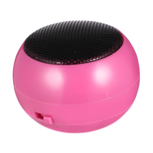 IWOWHERO USB Rechargeable Speaker with Aux Input Portable Loudspeaker Box for Laptop Phone Tablet Compact Design Easy to Use