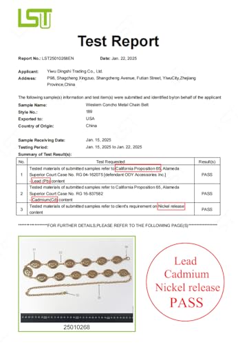 TOPACC Western Chain belt for Women Metal Concho Belt Cowgirl Chain Belt2