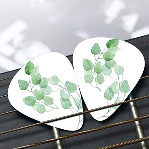 Médiators Guitare 12-Pack Belles Feuilles Médiators Guitare Électrique Guitare Acoustique Diverses Guitares - Les Beatles, Paul McCartney, John Lennon, RIngo Starr, George Harrison Médiators Guitare 12-Pack Belles Feuilles Médiators Guitare Électrique Guitare Acoustique Diverses Guitares – Image 7