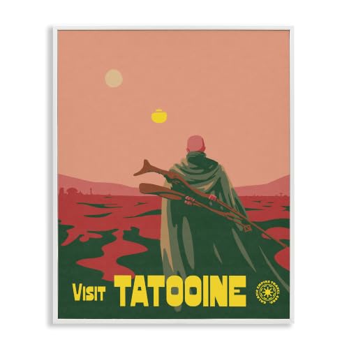 Vast Tatooine Landscape Science, 11 x 14 Inch Framed Giclée Print