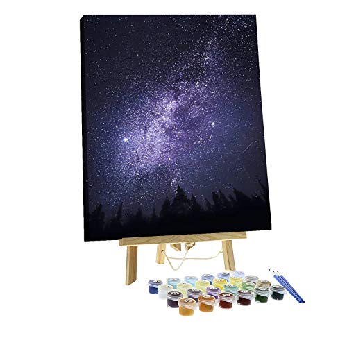 Paint by Numbers DIY The Milky Way Canvas Painting Set with Acrylic Pigment Paintbrush Wooden Easel for Adults and Children Artwork 16