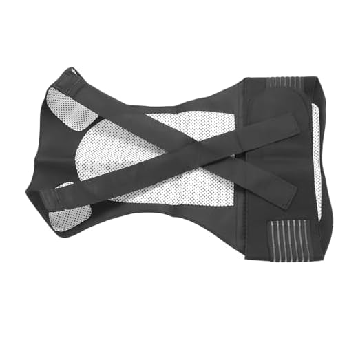Colete de Autoaquecimento Com Estabilizador de Cintura, Colete de Aquecimento Ajustável Com Estabilizador de Cintura, Massagem Suave para Escritório (XL)
