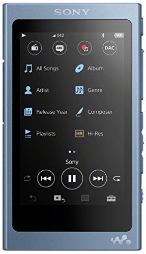 Nw A45 3 1 Inch Touch Display High Resolution Audio | Desertcart INDIA