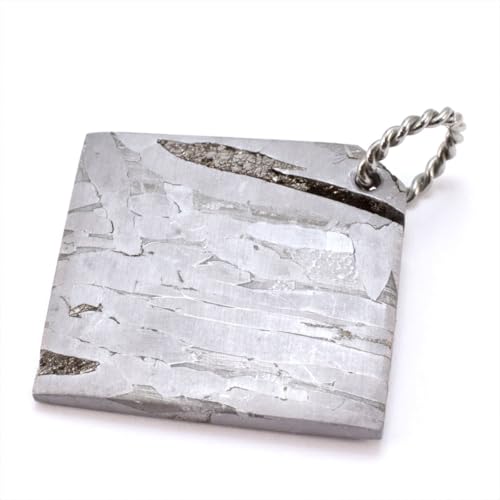 ネックレス ペンダント セイムチャン パラサイト 隕石の人気商品・通販  