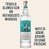 CAZADORES Tequila Blanco, 40% ABV, 70cl / 700ml, Alcool Bidistillato Prodotto con 100% Agave Blu Weber #1