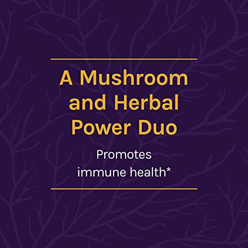 Host Defense, Mycobotanicals Brain & Body Powder, Support For Brain, Heart And Digestive Health, Mushroom Supplement, Plain, 3.5 Ounce (Pack Of 1) #TOP3