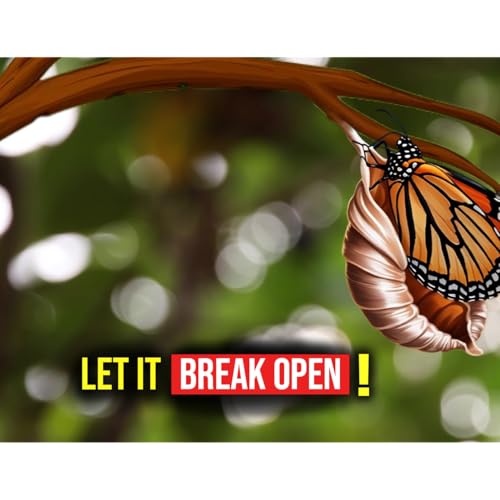 Winter Season Trailer: Broken Open