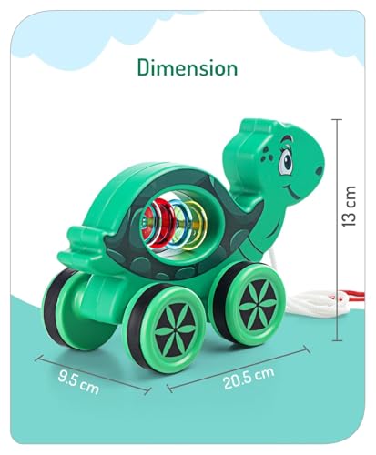 Image of Mini Steps Pull Along Turtle Toy - Baby Walking Toy for Toddlers, Safe & Durable