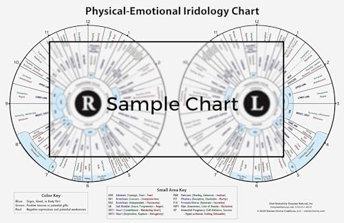 Image of Iridology Chart - 11x17 Double-Sided Laminated Iris Map with Organ Zones & Emotional Traits - Constitutional Health & Personality Assessment Tool