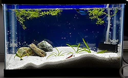 Ercole® Fine Natural Aquarium Sand for Vase Filler Lawn Garden Freshwater & Aquarium Decoration (2Kg, White) 1