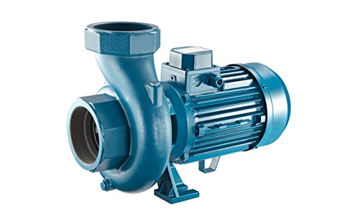 FORAS FORAS SD100/2 Kreiselpumpe mit hohem Förderstrom vor allem in der Landwirtschaft eingesetzt, made in Italy, Dauerbetrieb, 230V, 0.85 kW, max. 450 L/min, 12.8 m