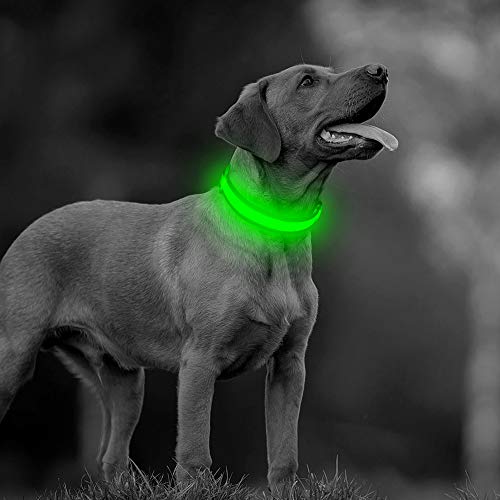 Bseen Led Dog Collar Light- Usb Rechargeable Light Up Dog Collars, Adjustable Mesh Reflective Puppy Collars For Night Dog Walking (Neon Green- Small- Collar) #TOP6