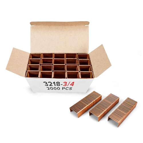 Agrafes robustes pour CMB HDCS IDL Packaging Boîte de 2000 pièces de 1 1/4" x 1/4"