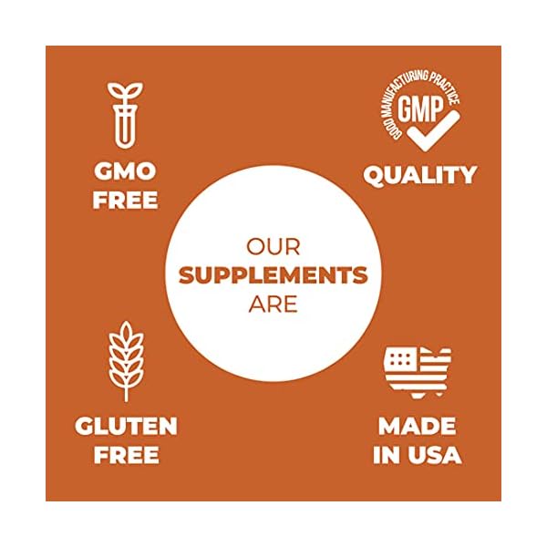 Turmeric-and-Ginger-Supplement-with-Bioperine-Black-Pepper-Natural-Joint-Pain-Relief-Immune-Support-with-95-Curcuminoids-for-Extra-Absorption-Vegan-Antioxidant-for-Healthy-Inflammatory-Response Tumeric and Ginger with Black Pepper - Natural Turmeric Curcumin Joint Support Supplement with Bioperine & 95% Curcuminoids. High Absorption Curcumin Supplements. Digestive & Immune Support. 60 Caps