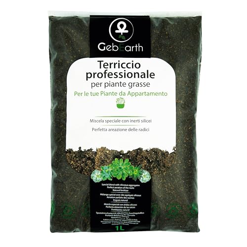 Gebearth® - Terriccio Professionale Per Piante Grasse E Succulente Da 1 Litro【 Substrato Ideale Per Cactacee E Altre Piante Grasse Da Appartamento 】
