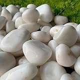 TAIKOH 高級白玉石 白仙華 1寸 25-36mm 化粧砂利 ホワイト 白 水磨き 玉石 中 (白仙華1寸(25~36mm), 1kg)