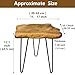 DONZIKLE Natural Edge End Table, Live Edge Side Table with Hairpin Legs, Small Natural Wood Coffee Table ，Stump End Table for Living Room, Bedroom, Farmhouse Decor (16