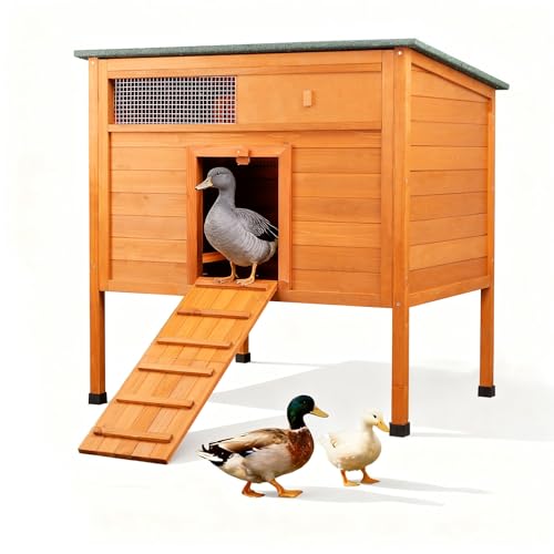 Duck Coop Outdoor Weatherproof with Pull-Out Tray & Asphalt Roof