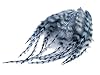 1 Dozen - Short Light Blue Grizzly Whiting Farm Rooster Saddle Hair Extension Feathers Summer Fly Tying Craft Supply | Moonlight Feather #2
