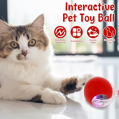 BOBASH 2 Stück Interaktives Katzenspielzeug Ball Katzenball Spielzeug Elektrisch 360° Rolling Ball Hund Hundespielzeug mit USB für Katzen Hunde