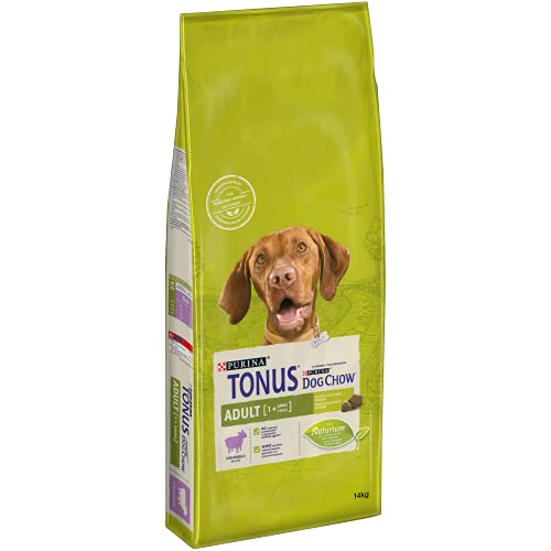 Gebackenes hundefutter test