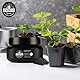 DYNOMYCO Spark 3 in 1 Mycorrhizal Inoculant Root Enhancer Powder for Plants (315 g/Up to 70 Plants)