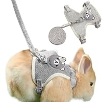 NJCXOLA Kaninchen Leine,Verstellbare Hasenleine,120cm Weiches Kaninchen Leine,Hasen Zubehör,Kaninchen Zubehör,Kaninchen Geschirr Für Kaninchen, Katzen, Kleine Hunde Und Andere Kleine Haustiere